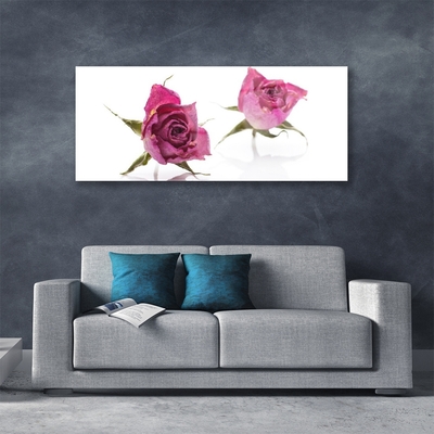 Plexiglas® Wall Art Roses floral red green