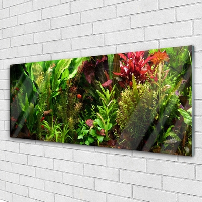 Plexiglas® Wall Art Plants nature green orange