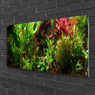 Plexiglas® Wall Art Plants nature green orange