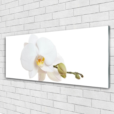 Plexiglas® Wall Art Flower floral white