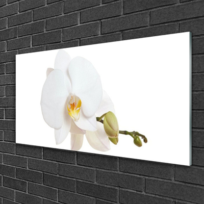 Plexiglas® Wall Art Flower floral white