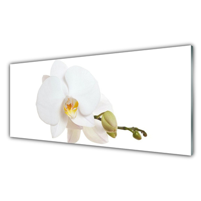 Plexiglas® Wall Art Flower floral white