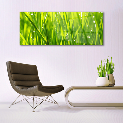 Plexiglas® Wall Art Grass nature green