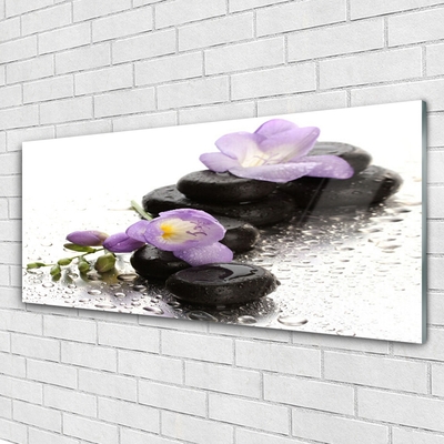 Plexiglas® Wall Art Flower stones art pink black