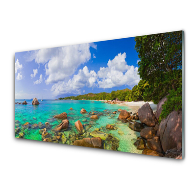 Plexiglas® Wall Art Sea stones trees landscape blue grey green brown