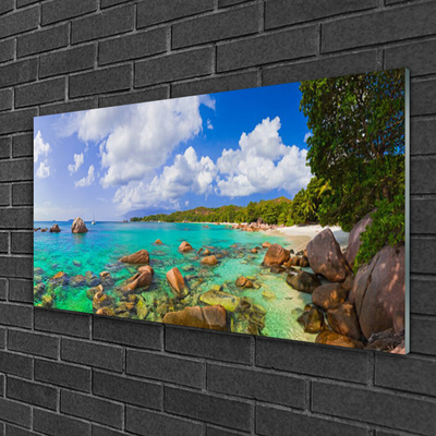 Plexiglas® Wall Art Sea stones trees landscape blue grey green brown