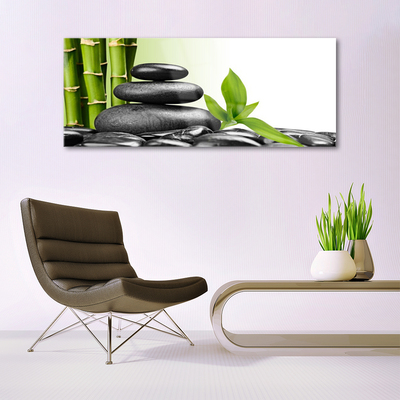 Plexiglas® Wall Art Bamboo stalks stones art green black