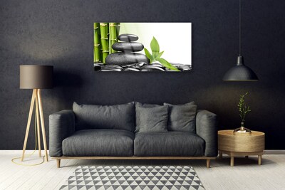 Plexiglas® Wall Art Bamboo stalks stones art green black