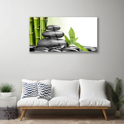 Plexiglas® Wall Art Bamboo stalks stones art green black