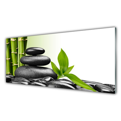 Plexiglas® Wall Art Bamboo stalks stones art green black