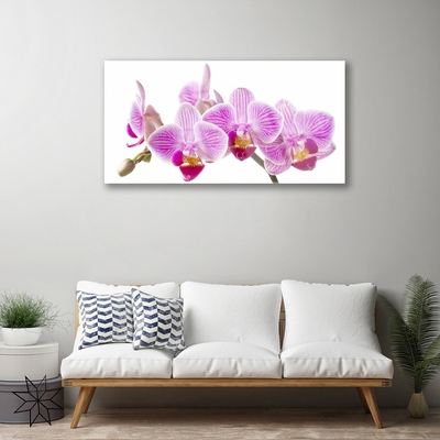 Plexiglas® Wall Art Flowers floral pink