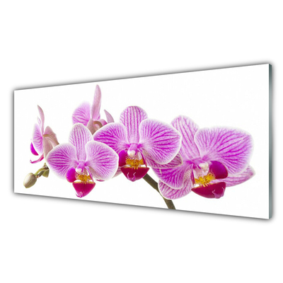 Plexiglas® Wall Art Flowers floral pink