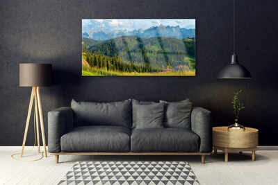 Plexiglas® Wall Art Mountain forest nature green