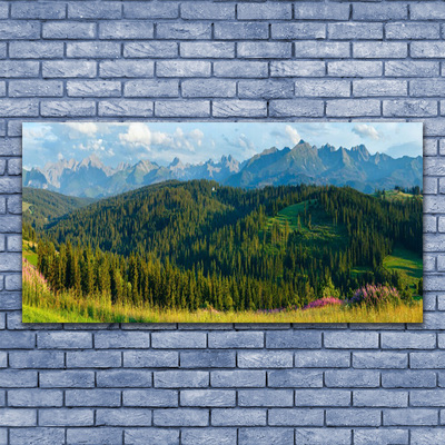 Plexiglas® Wall Art Mountain forest nature green