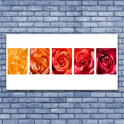 Plexiglas® Wall Art Roses floral yellow orange red