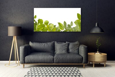 Plexiglas® Wall Art Leaves floral green