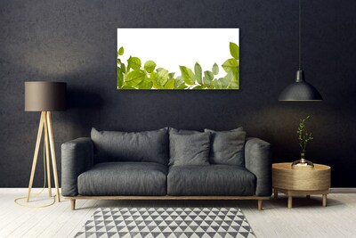 Plexiglas® Wall Art Leaves floral green