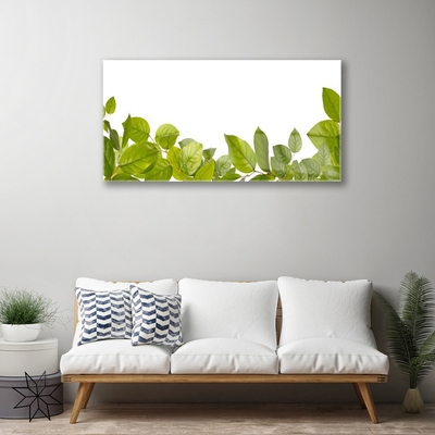 Plexiglas® Wall Art Leaves floral green