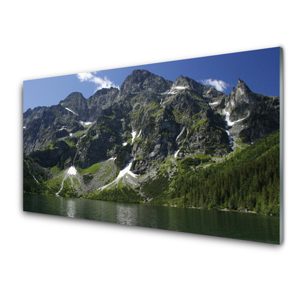 Plexiglas® Wall Art Mountains lake forest landscape green grey