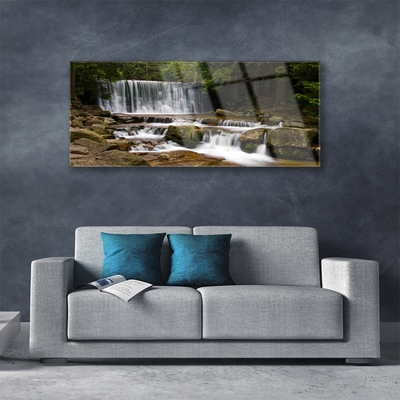 Plexiglas® Wall Art Waterfall forest nature white grey brown green