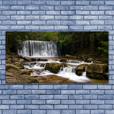 Plexiglas® Wall Art Waterfall forest nature white grey brown green