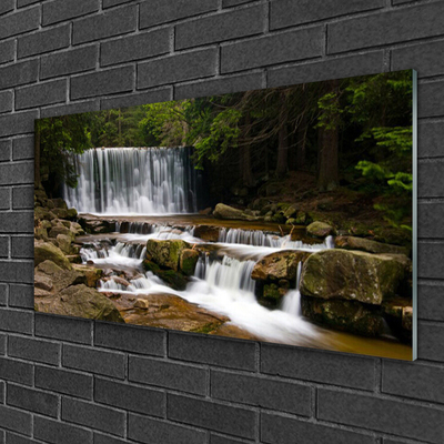 Plexiglas® Wall Art Waterfall forest nature white grey brown green