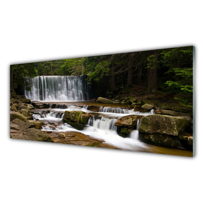 Plexiglas® Wall Art Waterfall forest nature white grey brown green