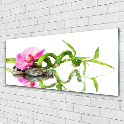 Plexiglas® Wall Art Bamboo flower stones art green pink grey