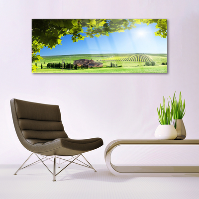 Plexiglas® Wall Art Field leaves landscape green brown