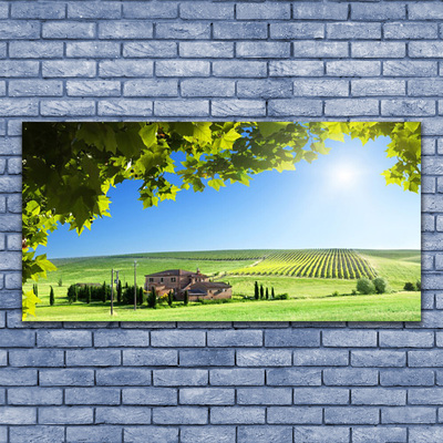 Plexiglas® Wall Art Field leaves landscape green brown