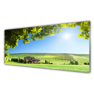 Plexiglas® Wall Art Field leaves landscape green brown