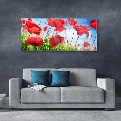 Plexiglas® Wall Art Poppy grass nature red green