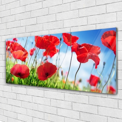 Plexiglas® Wall Art Poppy grass nature red green