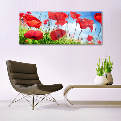 Plexiglas® Wall Art Poppy grass nature red green