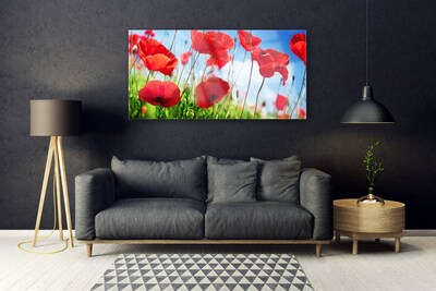 Plexiglas® Wall Art Poppy grass nature red green