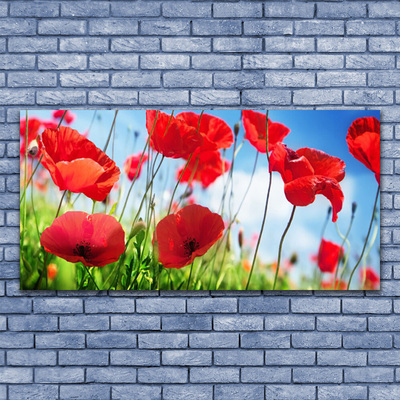 Plexiglas® Wall Art Poppy grass nature red green