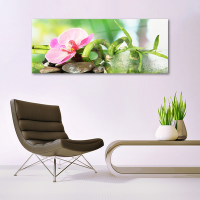 Plexiglas® Wall Art Bamboo stalk flower stones nature green pink grey