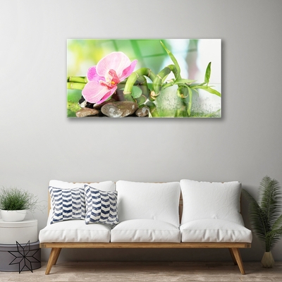 Plexiglas® Wall Art Bamboo stalk flower stones nature green pink grey