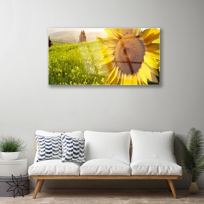 Plexiglas® Wall Art Sunflower floral yellow brown