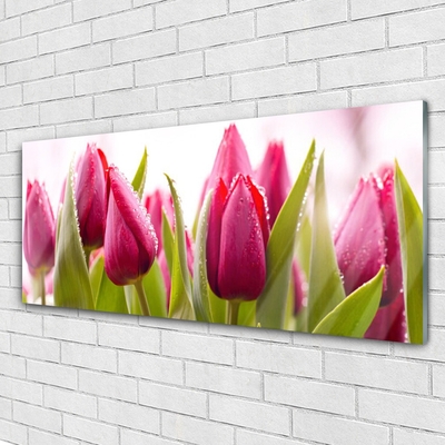 Plexiglas® Wall Art Tulips floral red