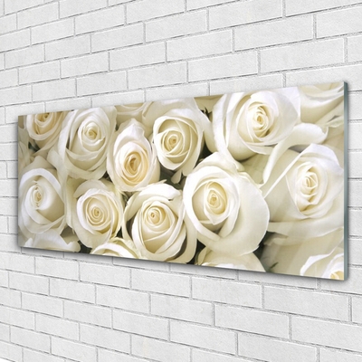 Plexiglas® Wall Art Roses floral white