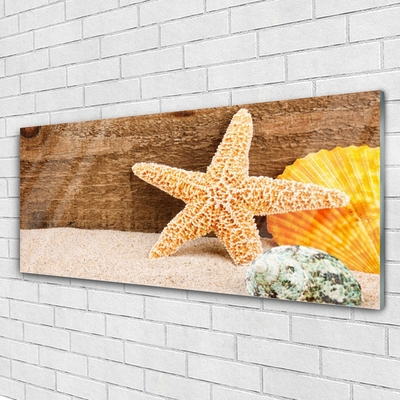 Plexiglas® Wall Art Sand seastar shells art brown yellow grey