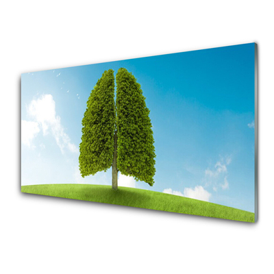 Plexiglas® Wall Art Grass tree nature green