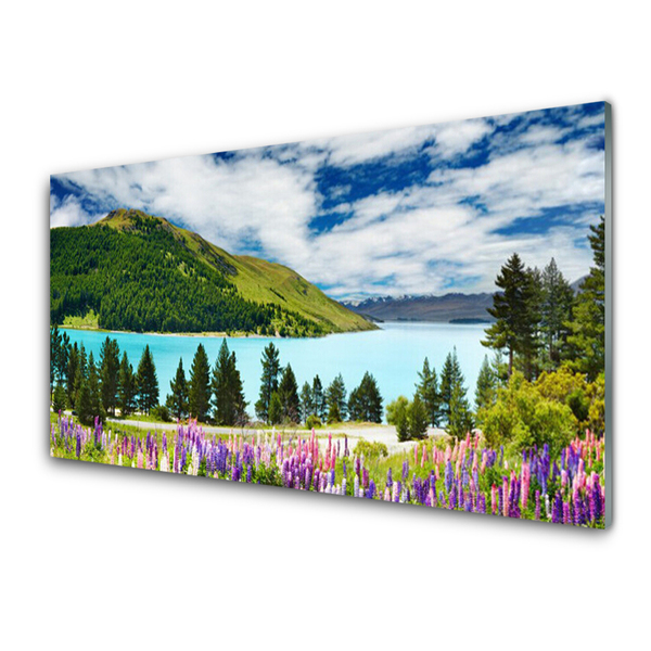 Plexiglas® Wall Art Mountain forest lake meadow landscape green blue purple pink