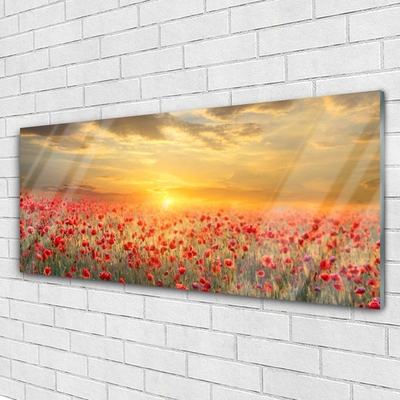 Plexiglas® Wall Art Sun meadow poppy flowers nature yellow red green