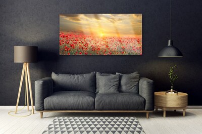 Plexiglas® Wall Art Sun meadow poppy flowers nature yellow red green