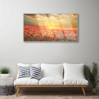 Plexiglas® Wall Art Sun meadow poppy flowers nature yellow red green