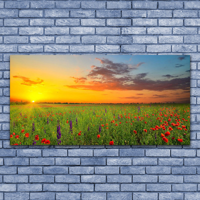 Plexiglas® Wall Art Sun meadow flowers nature yellow green red purple