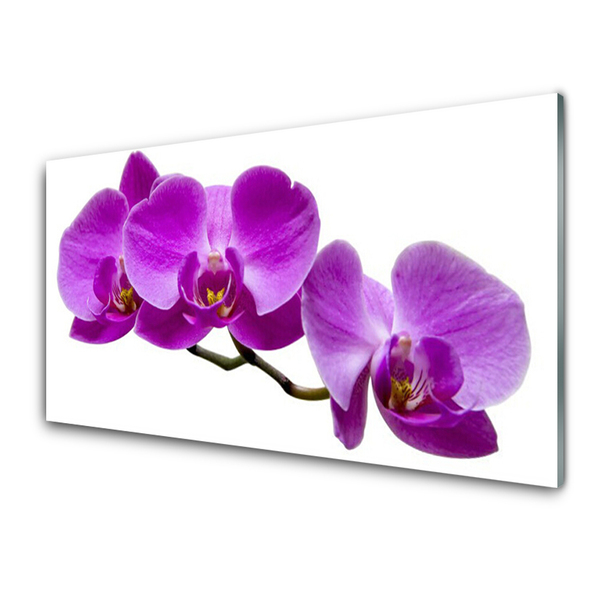 Plexiglas® Wall Art Flowers floral pink