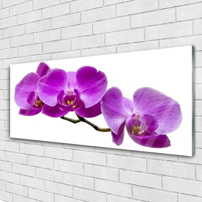 Plexiglas® Wall Art Flowers floral pink